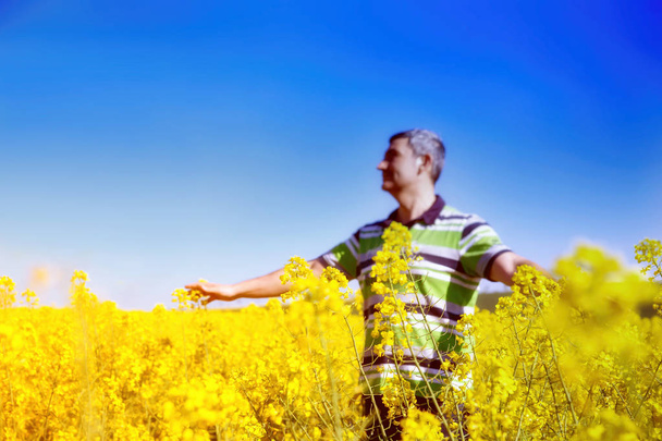 Man with hands wide open on sunny blue sky background.Man stands in golden canola field.Freedom concept.Rear view portrait of man with at standing at the canola fields with his hands wide open towards - Photo, Image
