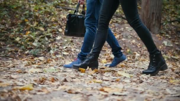 Piernas masculinas y femeninas caminando sobre hojas de otoño - cámara lenta
 - Metraje, vídeo