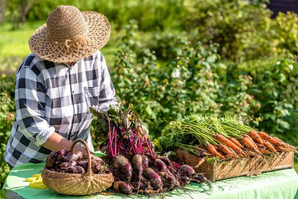 Local farmer selling fresh vegetables on market, organic produce from the garden harvested at fall - Foto, imagen