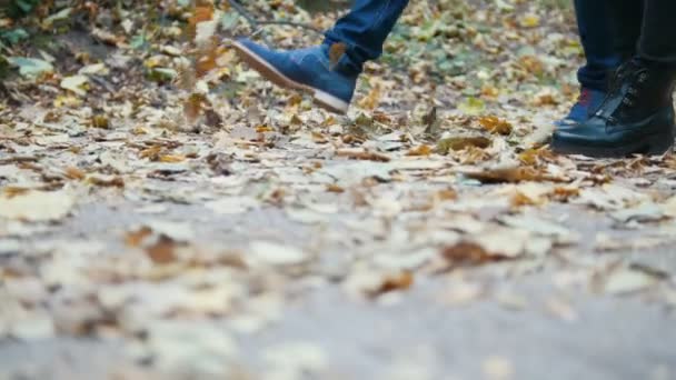 Nohy mladý muž a žena jsou chůze na podzimní listí - Záběry, video