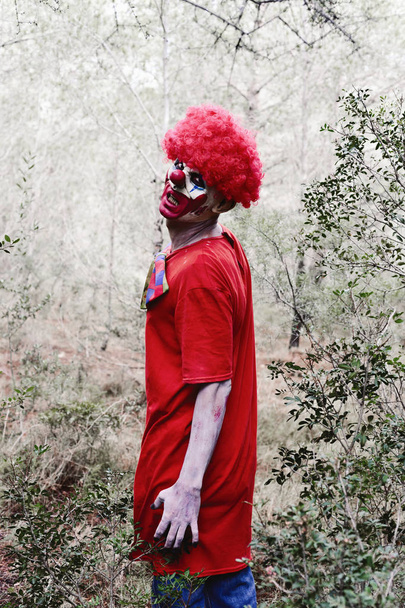 straszny złego klauna w lesie - Zdjęcie, obraz