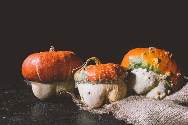 ripe pumpkins on sackcloth  - Foto, Imagen