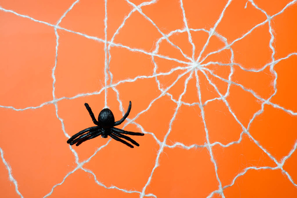 Araña negra y tela sobre fondo naranja
 - Foto, imagen