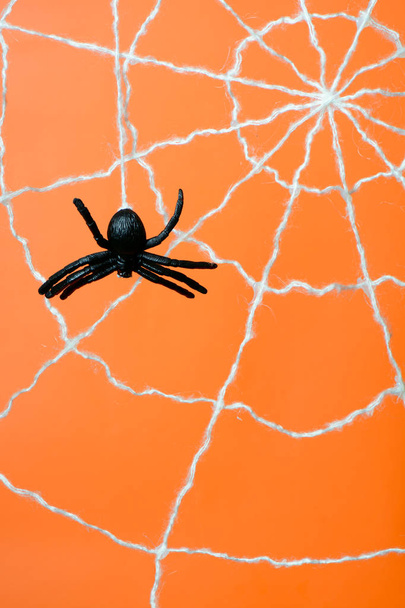 Siyah örümcek ve web turuncu bir arka plan üzerinde - Fotoğraf, Görsel
