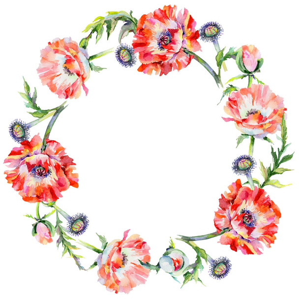 Wildflower poppy flower wreath in a watercolor style. - Valokuva, kuva