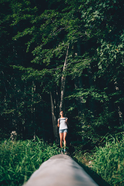 Female hiker standing on tree log - Foto, Imagem