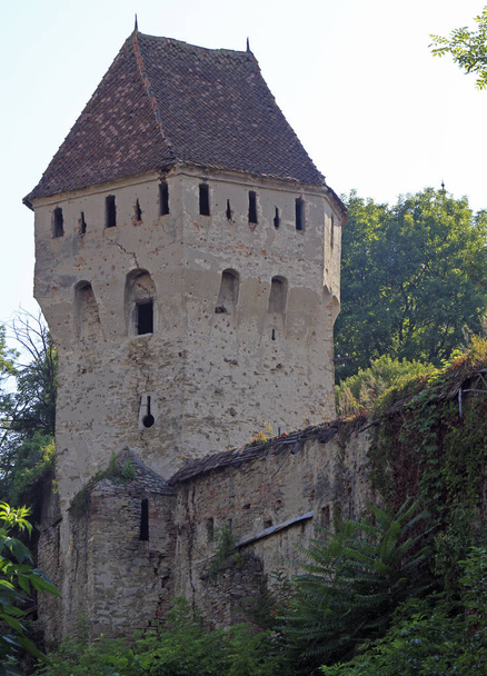 The Tin Coaters Tower in Sighisoara - 写真・画像