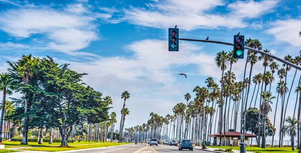 Cabrillo boulevard w Santa Barbara - Zdjęcie, obraz