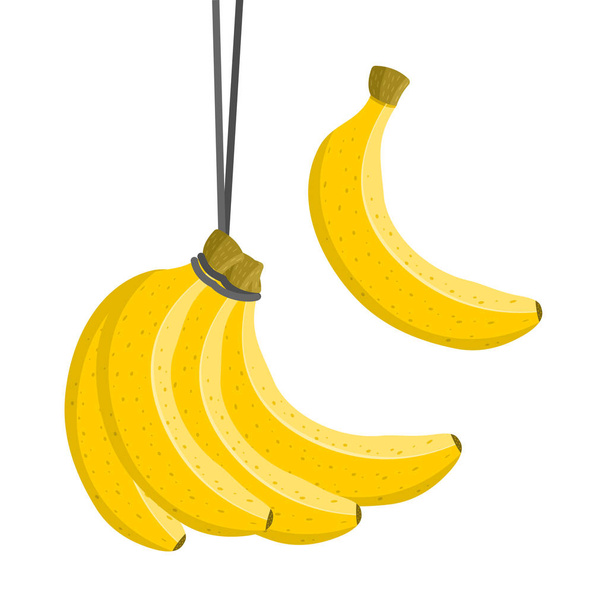 Banán csokor. Édes gyümölcs. Színes vektor - Vektor, kép