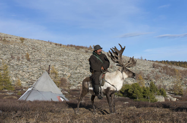 tsaatan man with reindeer in taiga - Photo, Image