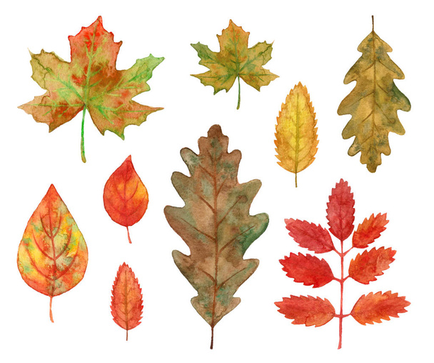 acquerello autunno foglie rosse e gialle
 - Foto, immagini