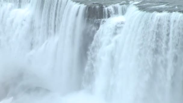 ptaki nad niagara falls - Materiał filmowy, wideo