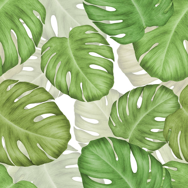 Tropical seamless pattern with large Monstera leaves. - Photo, Image