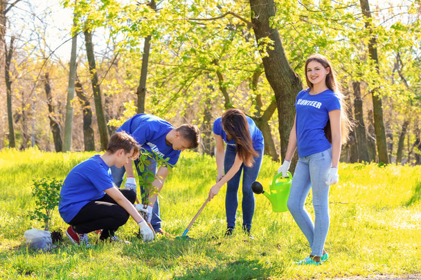 Group of young volunteers in park on sunny day - Фото, изображение