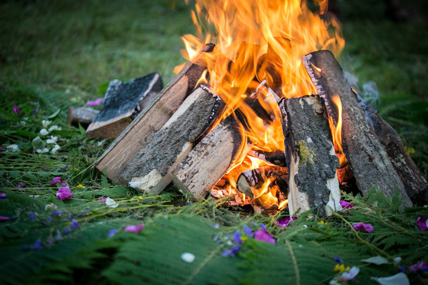Lagerfeuer im Wald mit Farn - Foto, Bild