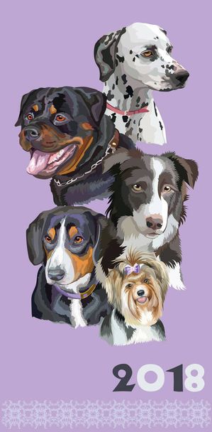Farklı doğurmak-4 köpeklerle kartpostal - Vektör, Görsel
