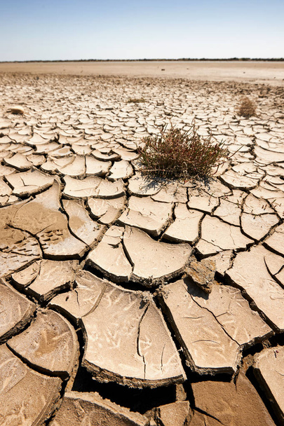 arid and waste land - Photo, Image