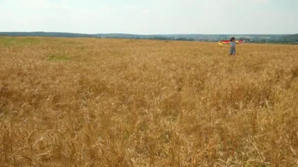 Bright autumn wheat field with girl running fast with German flag in her hands - Video