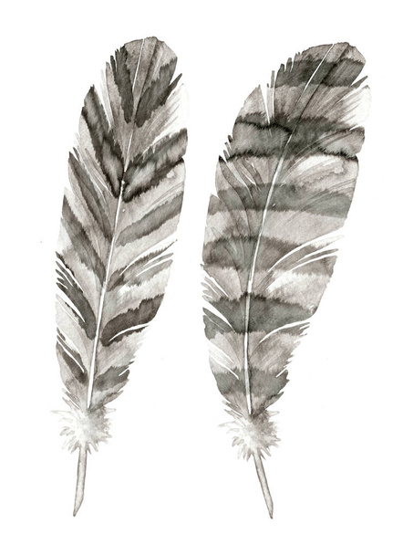 Feathers painted with watercolors  - Photo, Image