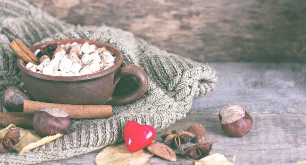 Cacao à la guimauve  - Photo, image