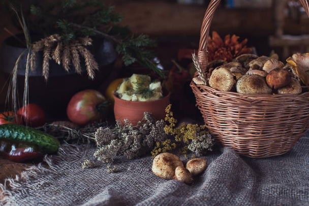 autumn nature gifts - Zdjęcie, obraz