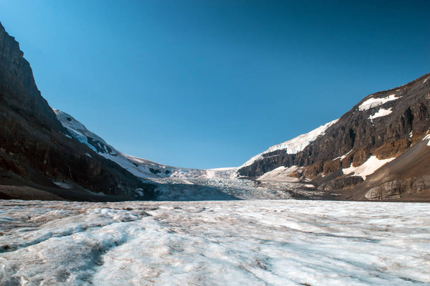 Athabasca Glacier v Jasper National Park - Fotografie, Obrázek