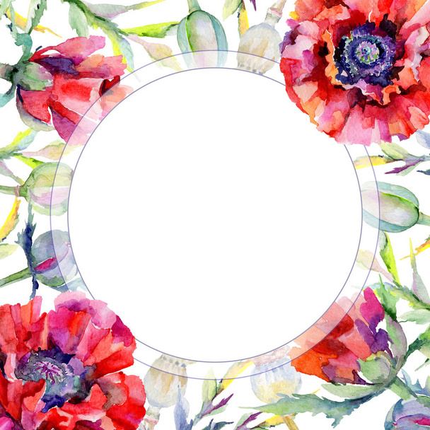 Wildflower poppy flower frame in a watercolor style. - Foto, Imagem