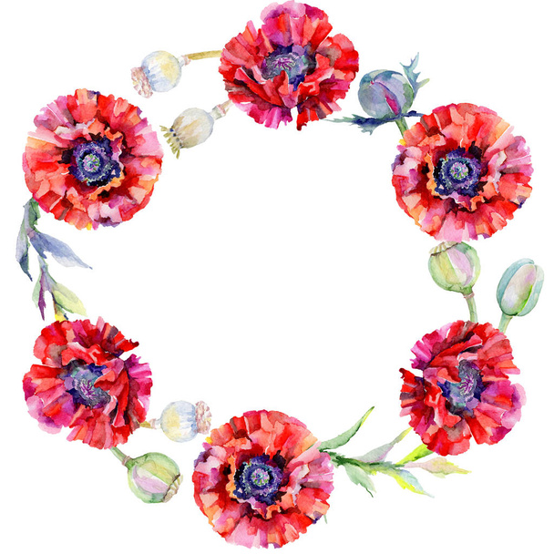 Wildflower poppy flower wreath in a watercolor style. - Foto, afbeelding