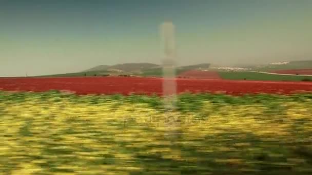 проезжая полосу зелени и красного поля
 - Кадры, видео