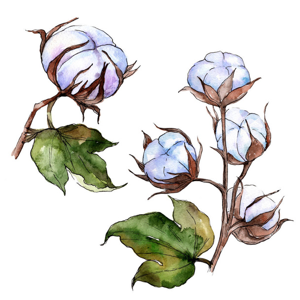 Wildflower cotton flower in a watercolor style isolated. - Fotó, kép