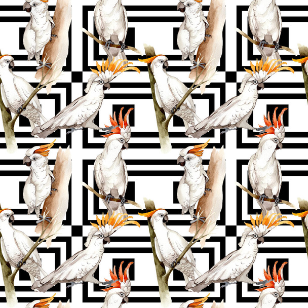 Cielo pájaro patrón de guacamayo blanco en una vida silvestre por estilo acuarela
. - Foto, imagen