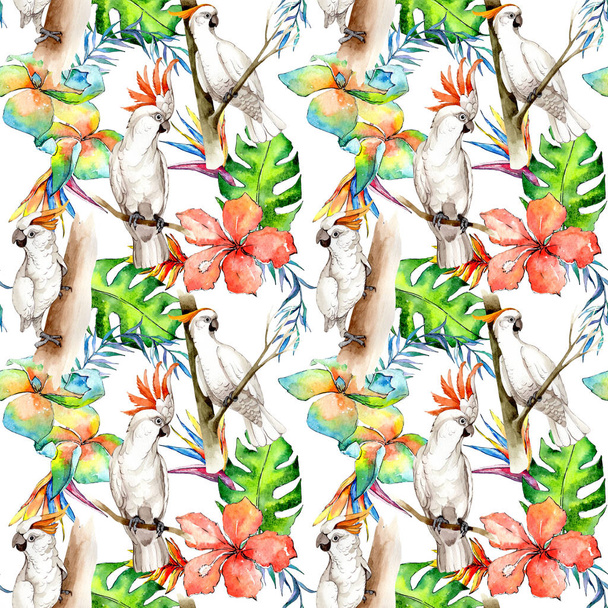Sky bird white macaw pattern in a wildlife by watercolor style. - Photo, Image