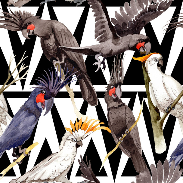 Sky vogel zwarte Ara patroon in een fauna door aquarel stijl. - Foto, afbeelding
