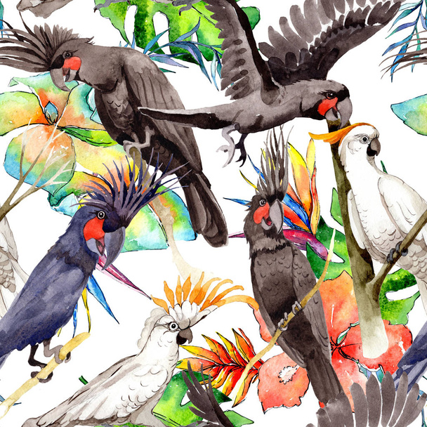 Sky bird black macaw pattern in a wildlife by watercolor style. - Foto, Bild