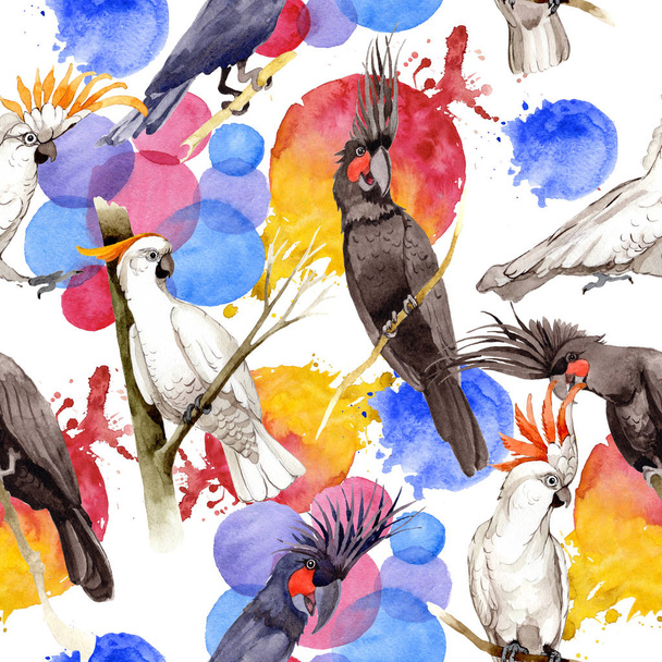 Céu pássaro padrão de arara preta em uma vida selvagem pelo estilo aquarela
. - Foto, Imagem