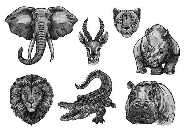 Wild animals vector sketch icons for African zoo - Вектор,изображение