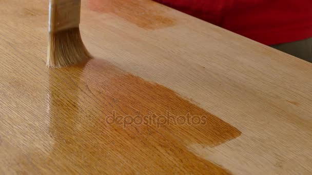 Wooden plank varnishing - Imágenes, Vídeo