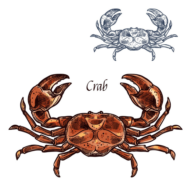Crab lobster seafood vector isolated sketch icon - Vector, Image