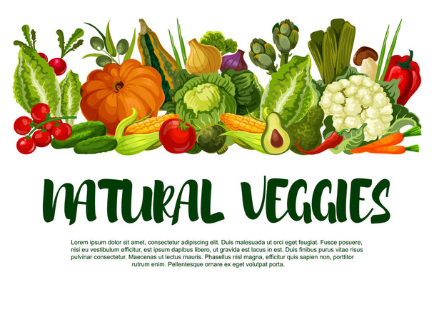 Cartaz vetorial de vindima de legumes ou legumes
 - Vetor, Imagem