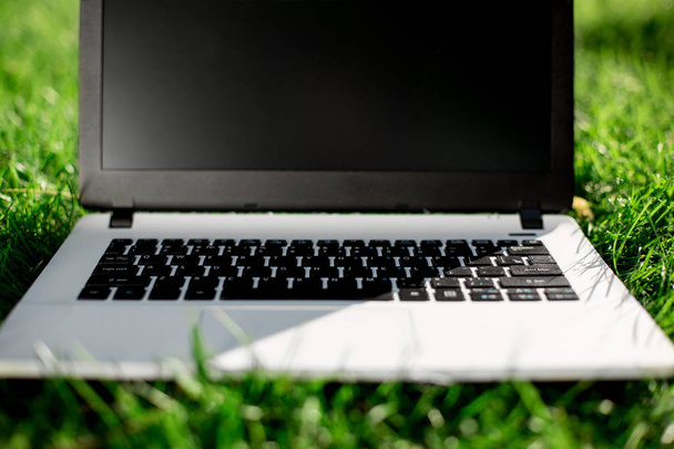 Laptop with blank screen on green lawn - Foto, Bild