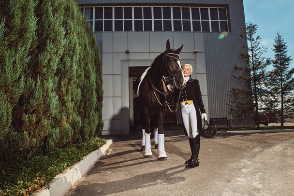 woman jockey with his horse - Photo, Image