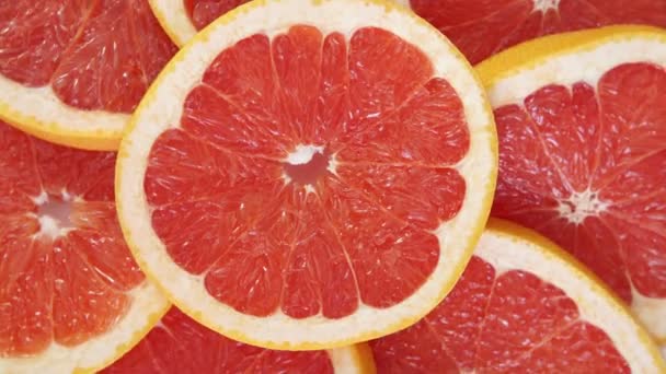 grapefruit slices background  - Felvétel, videó