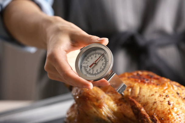 turkey with meat thermometer - Fotoğraf, Görsel