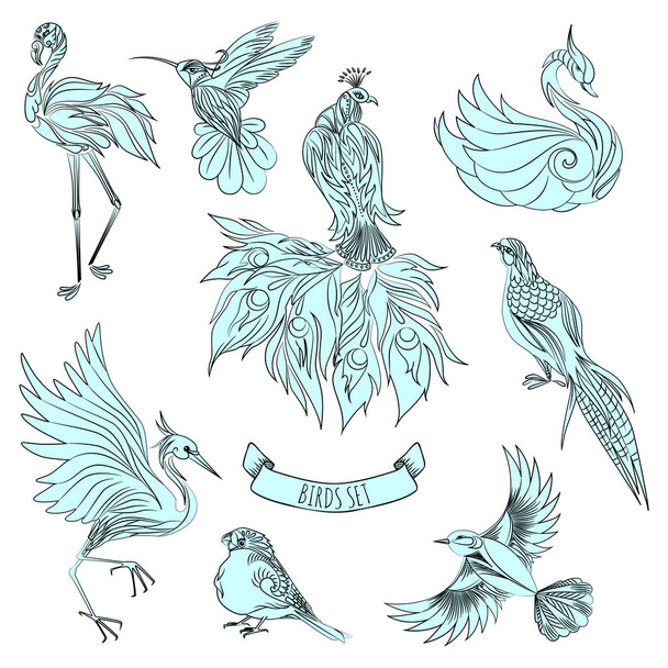 Set of  hand drawn birds - Wektor, obraz