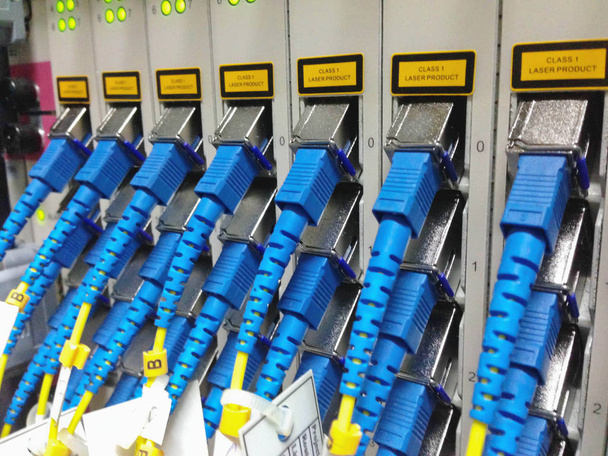 fiber optik ağ kabloları yama paneli closeup - Fotoğraf, Görsel
