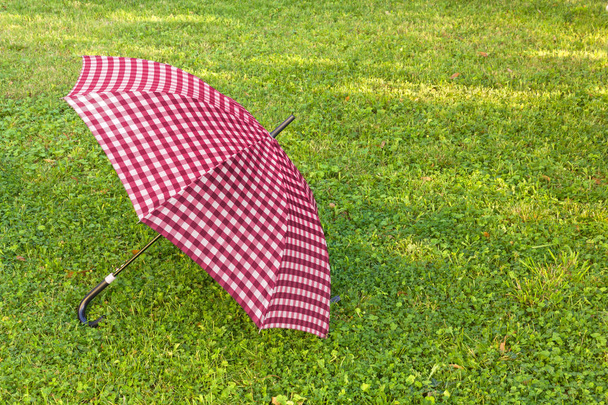Parapluie violet ouvert sur l'herbe
 - Photo, image