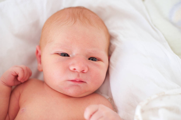 A newly born newborn - Фото, изображение