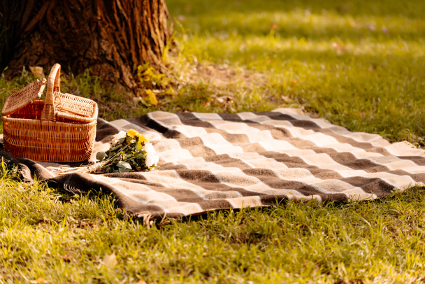 Пікніку ковдру і кошик - Фото, зображення