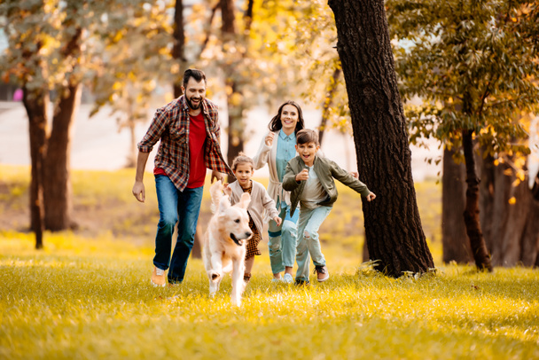 familia corriendo detrás de perro
 - Foto, Imagen