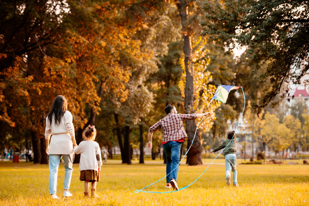 Family flying kite in park - Φωτογραφία, εικόνα